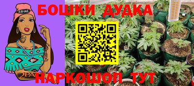 мдпв Жуковский